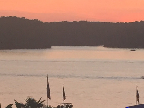 The Blue Parrot Grill-穆尔斯维尔必去景点