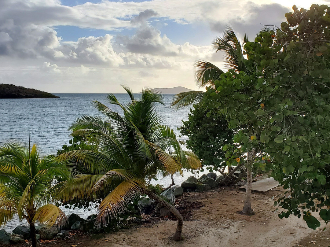 Tamarind Reef Resort主图