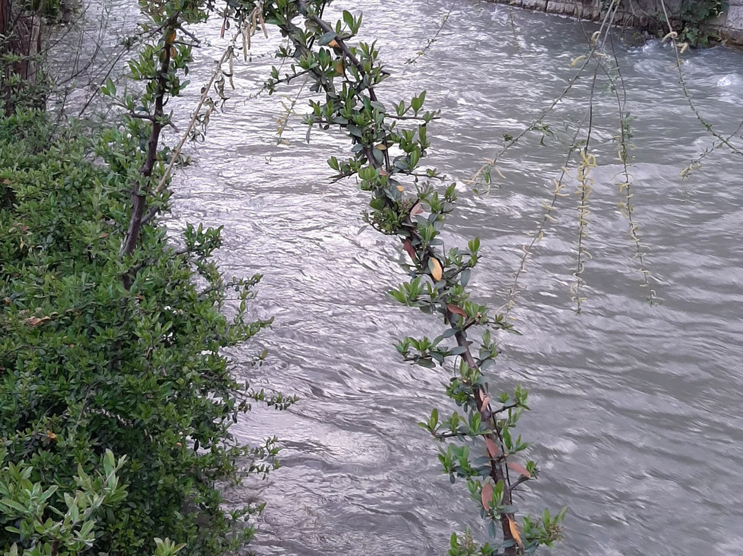 Shaderwan Restaurant