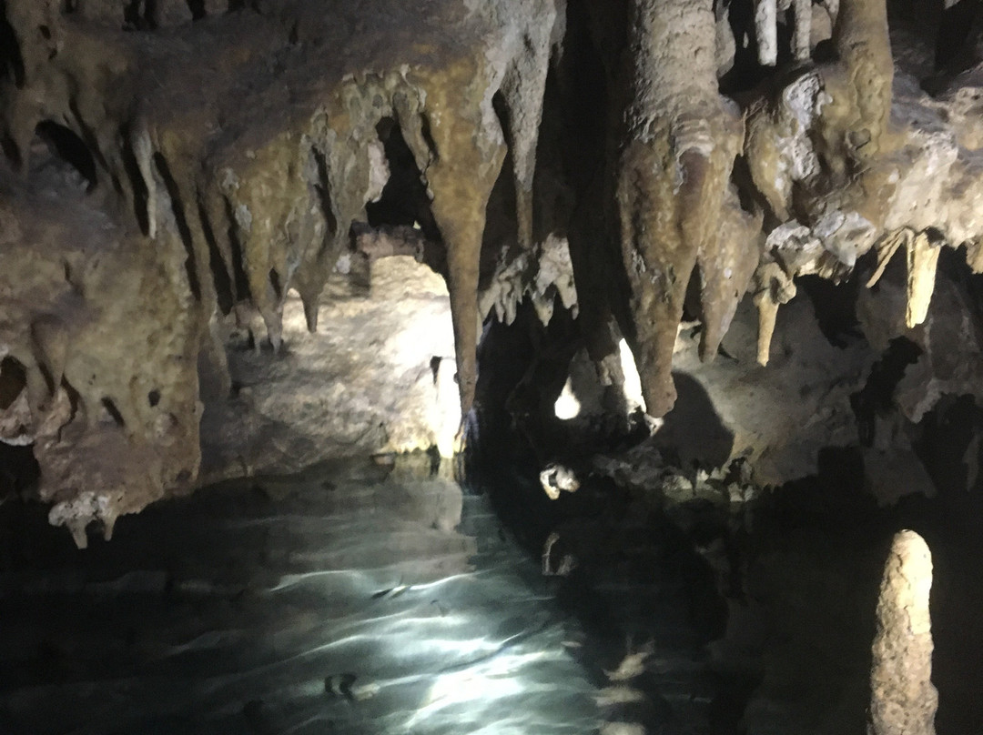 Cenotes Park Hidden Treasures-图伦必去景点