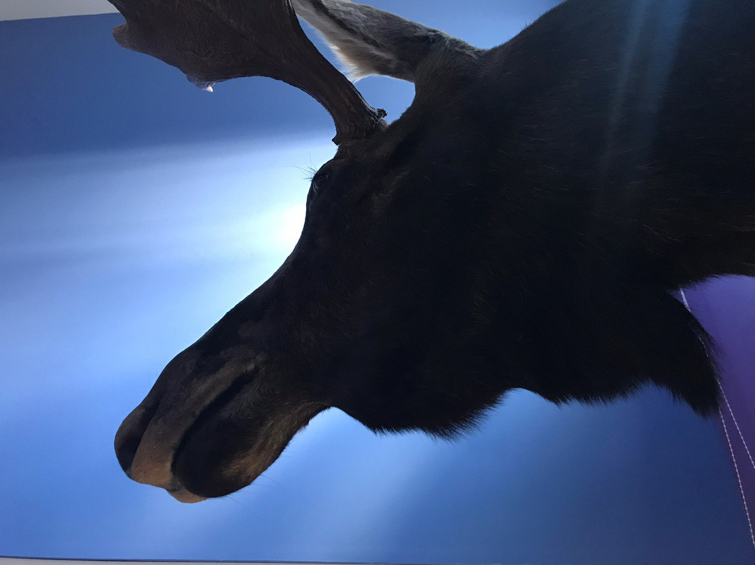 Home Away From Home主图