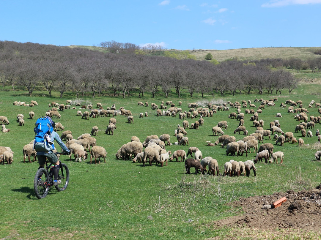 E-Bike Transylvania景点图片