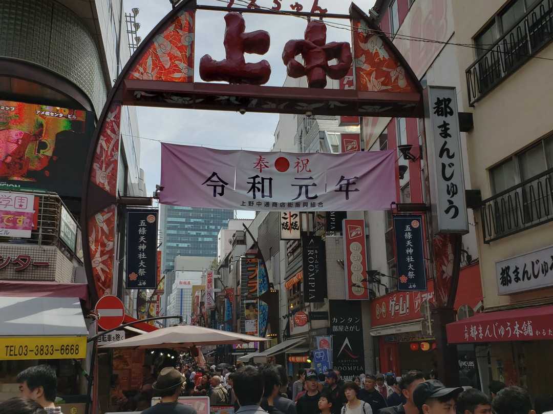 Ueno Nakadori Shotengai-Ueno必去景点
