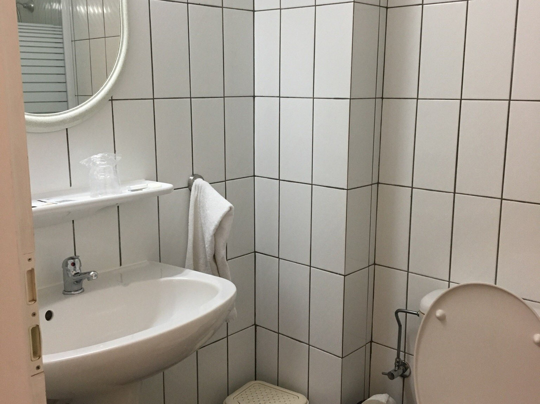 皮科洛蒙德二世主图