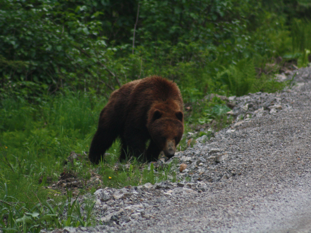 Kennel Creek Excursions-胡纳必去景点