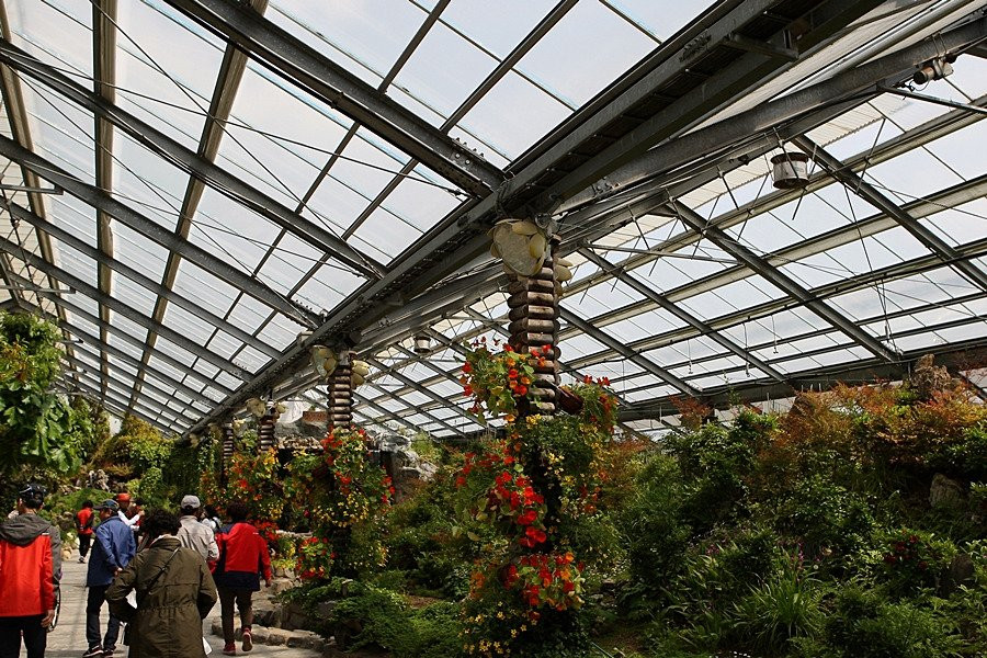 Hampyeong Expo Park - Natural Ecological Museum-咸平郡必去景点