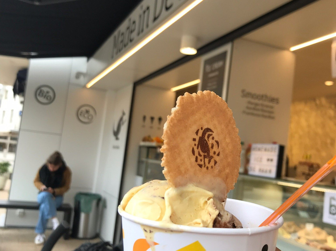 Australian Home Made Ice Cream