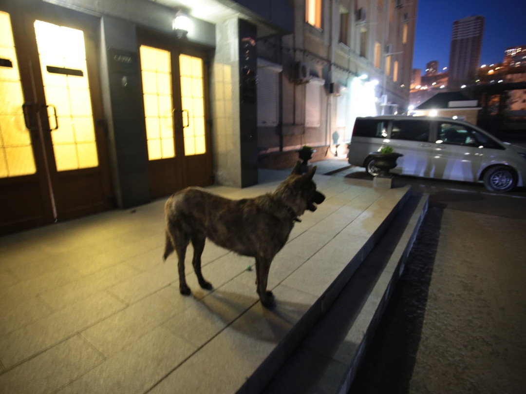 Ostrovok Hotel主图