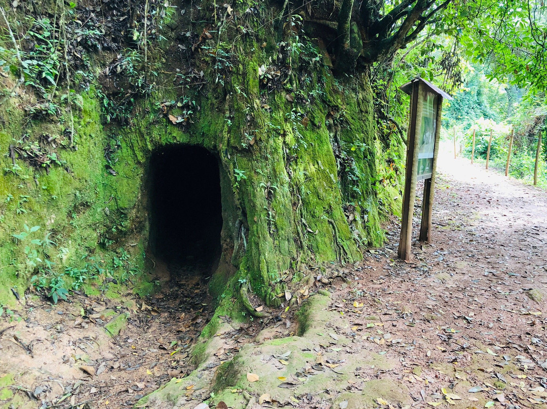 Parque Ecológico Rego dos Carrapatos景点图片