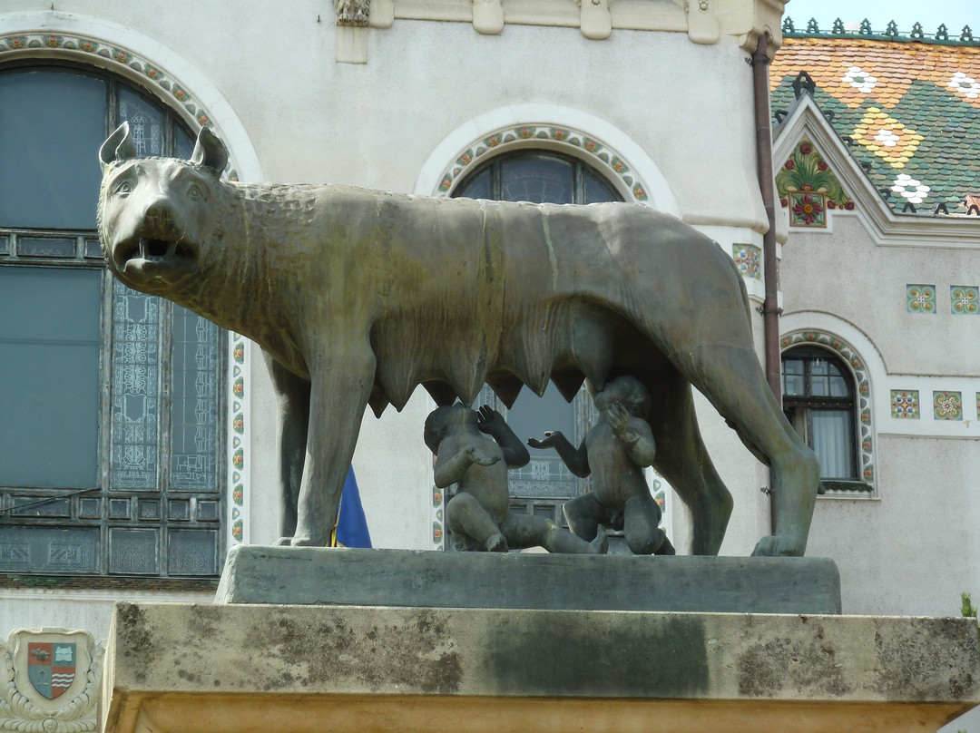 The Statue of the "Lupoaicei din Targu Mures"景点图片