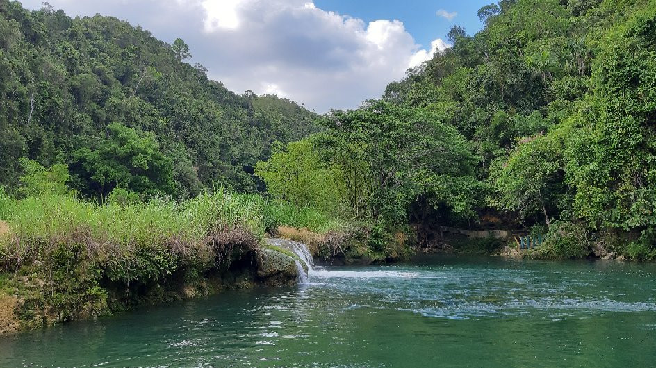 Loboc River景点图片