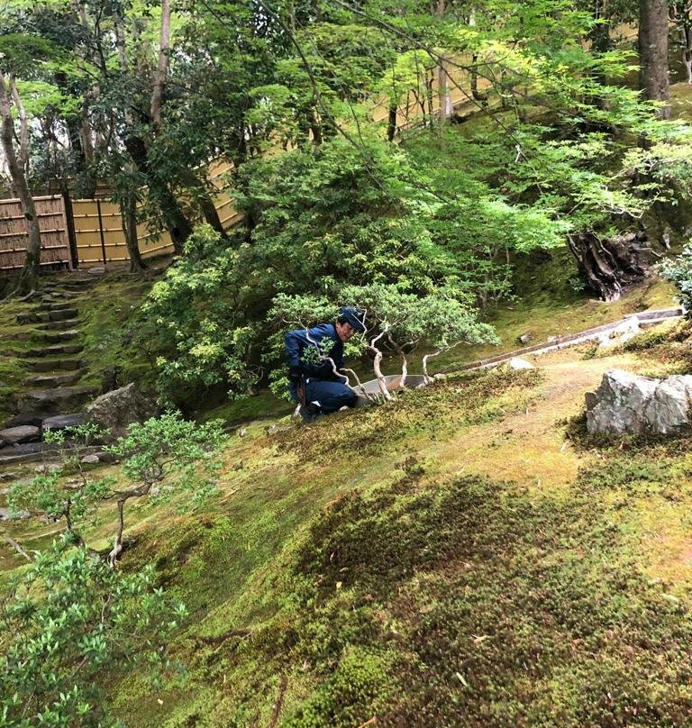 春花园 BONSAI 美术馆-江戸川区必去景点
