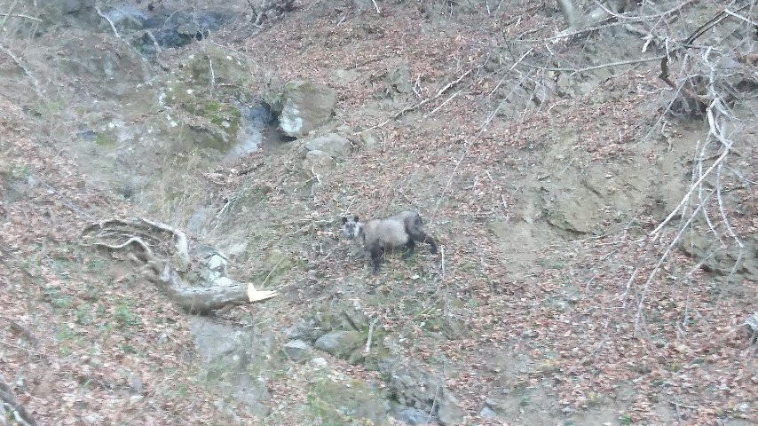 Mt Odake-桧原村必去景点