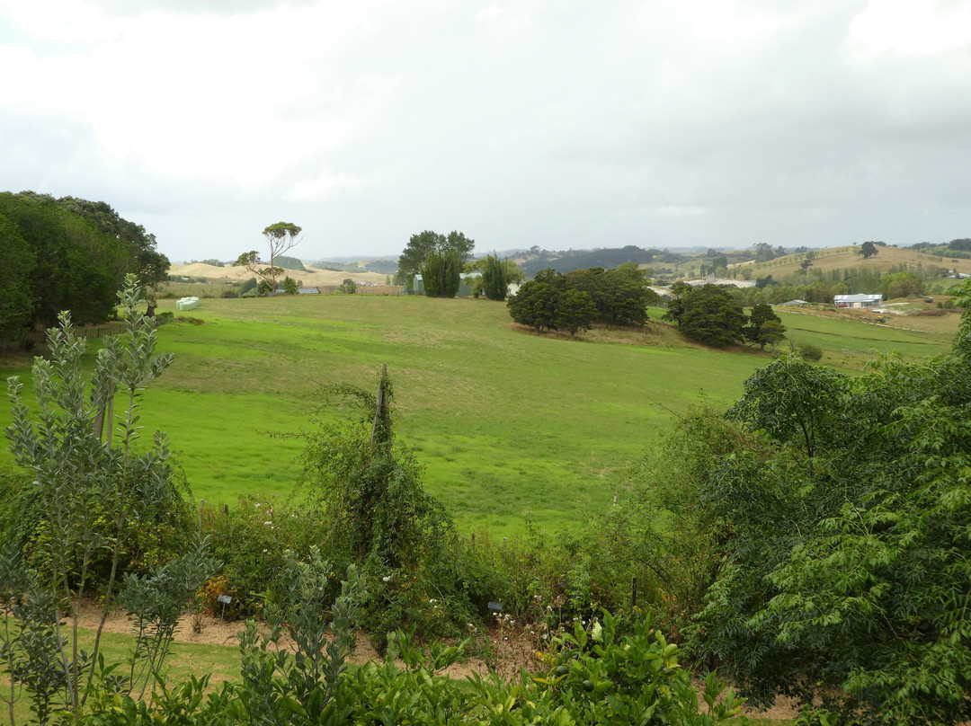 Matakohe House B&B Hotel主图