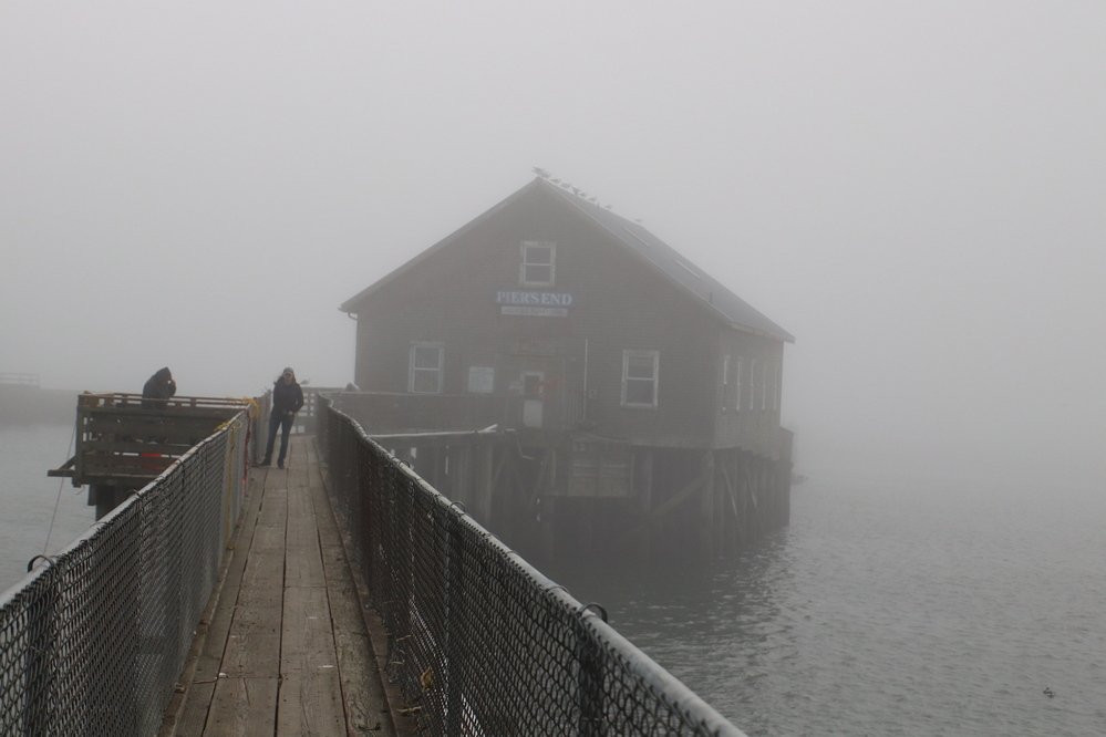 Pier's End-Garibaldi必去景点