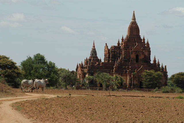 Bagan City Tour and Transport-蒲甘必去景点