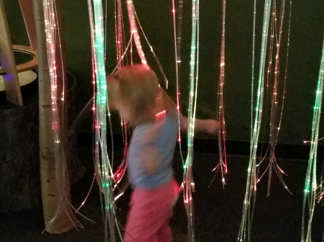 WOW! Children's Museum-Lafayette必去景点