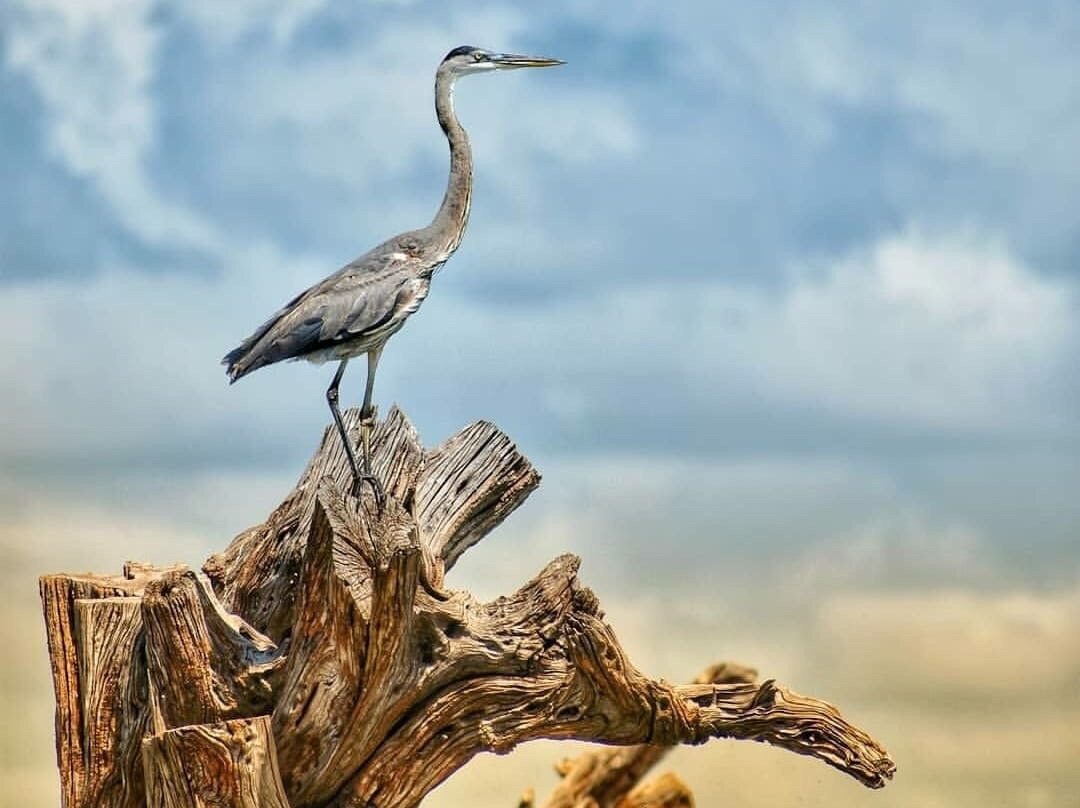 Playas de Catazaja-Catazaja必去景点