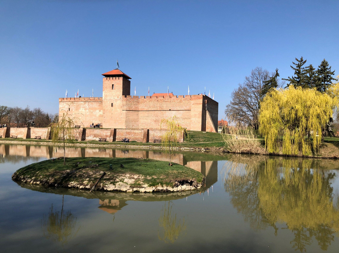 Gyula Castle景点图片