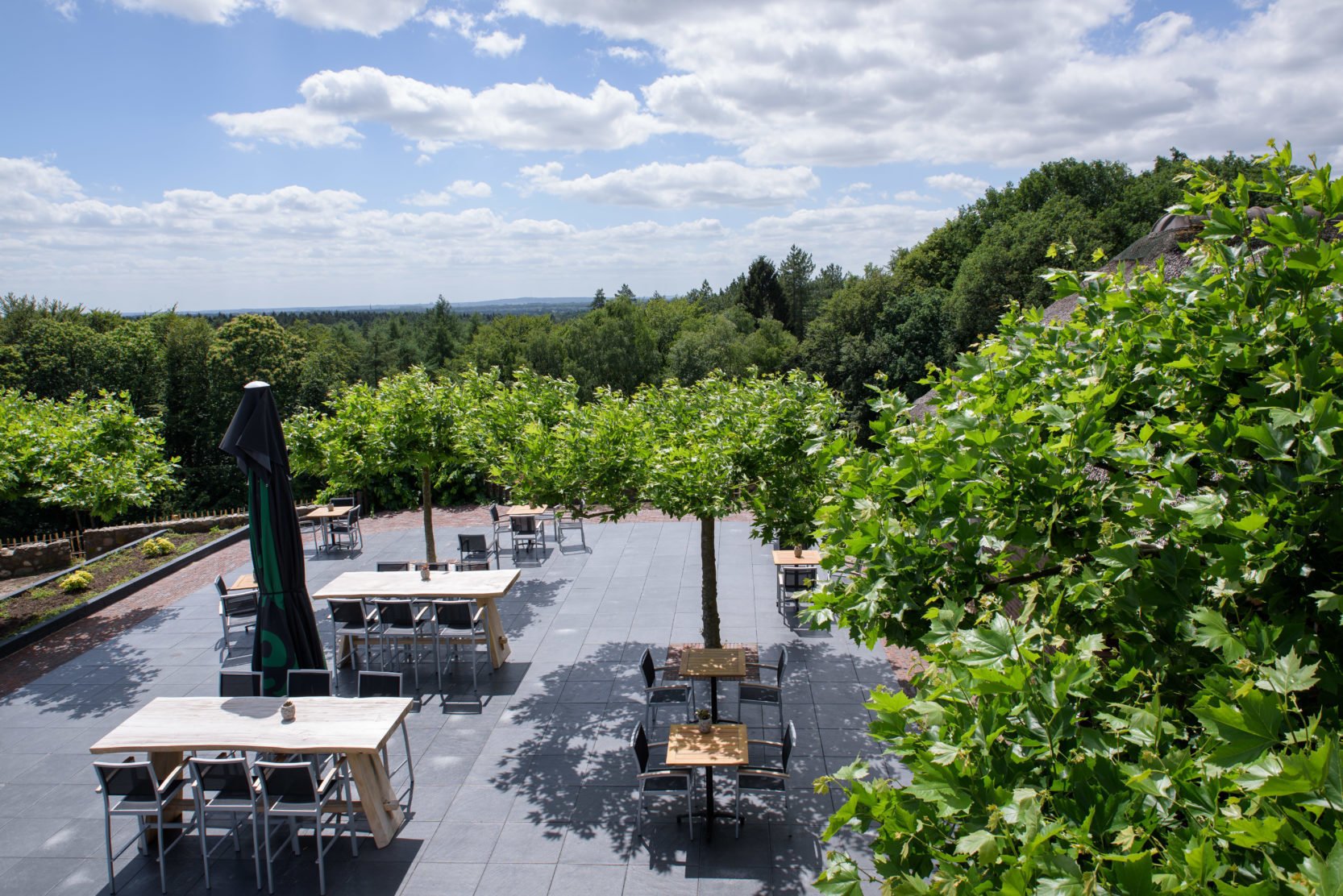 Hotel Het Montferland-餐饮