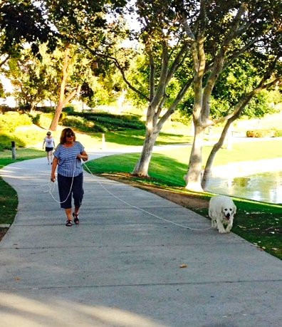 Rancho Santa Margarita Lake景点图片