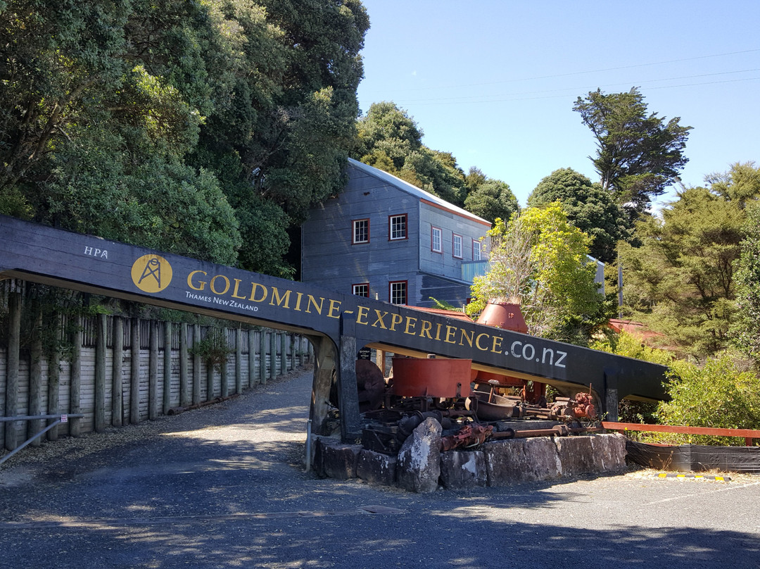Goldmine Experience景点图片