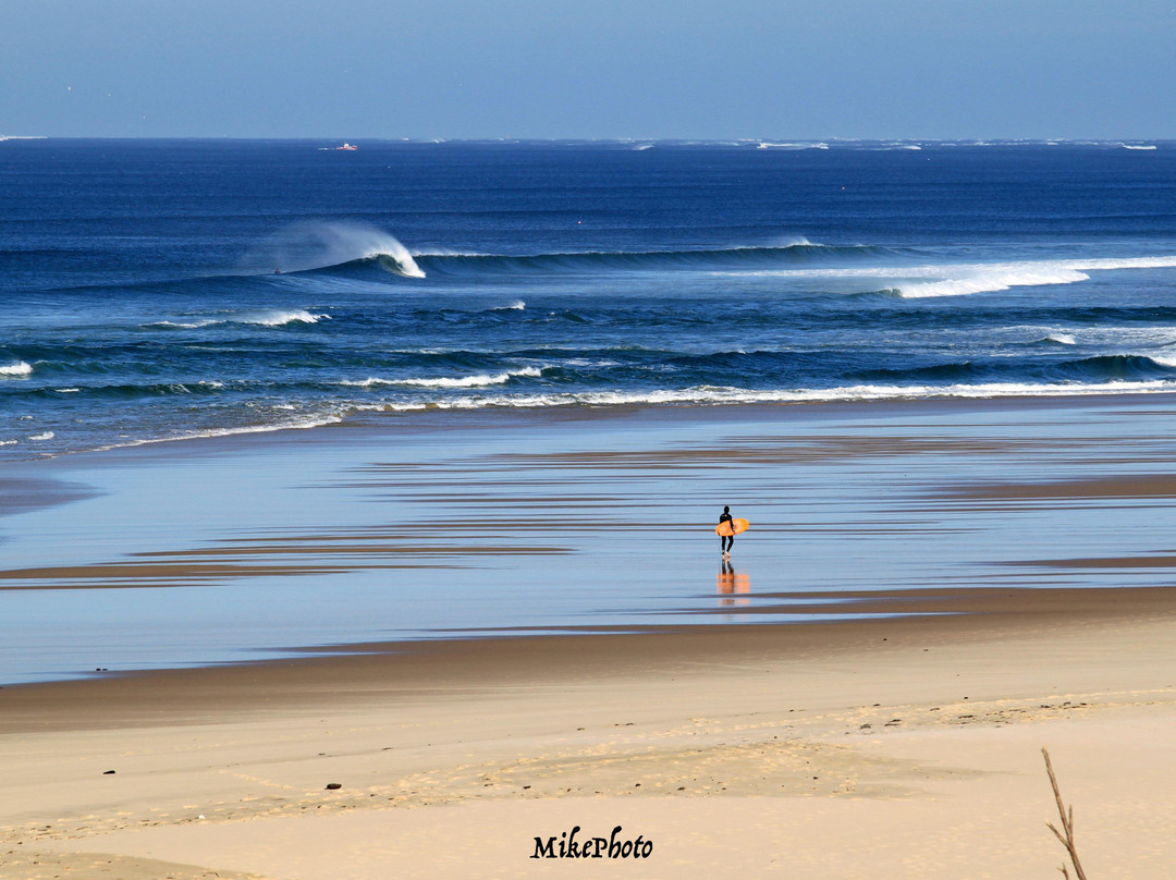 Pyla Surf School景点图片