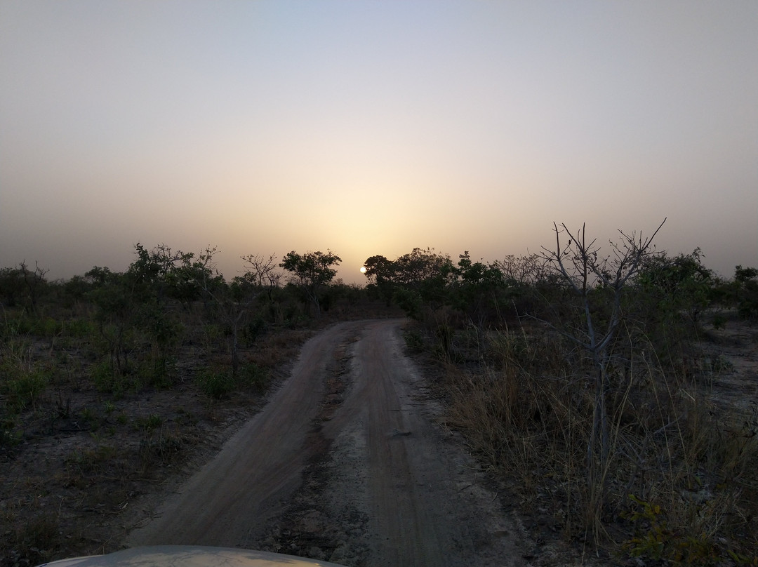 Reserve de Nazinga-瓦加杜古必去景点
