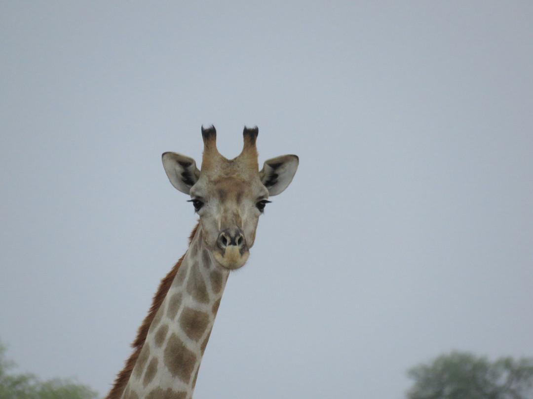 Tahiti Guesthouse, Campsite and Restaurant主图