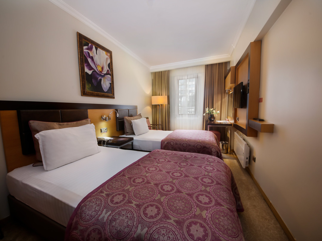 Elit Asya Hotel主图