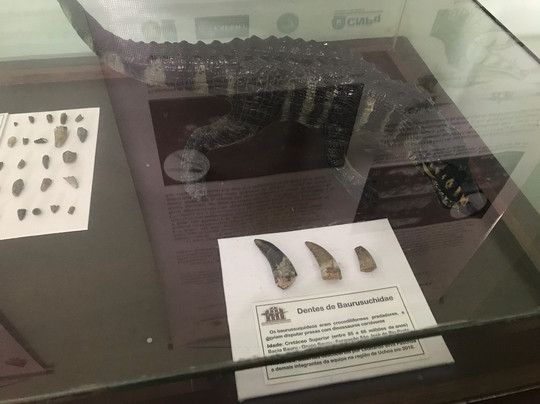 Museu De Paleontologia Pedro Candolo-Uchoa必去景点