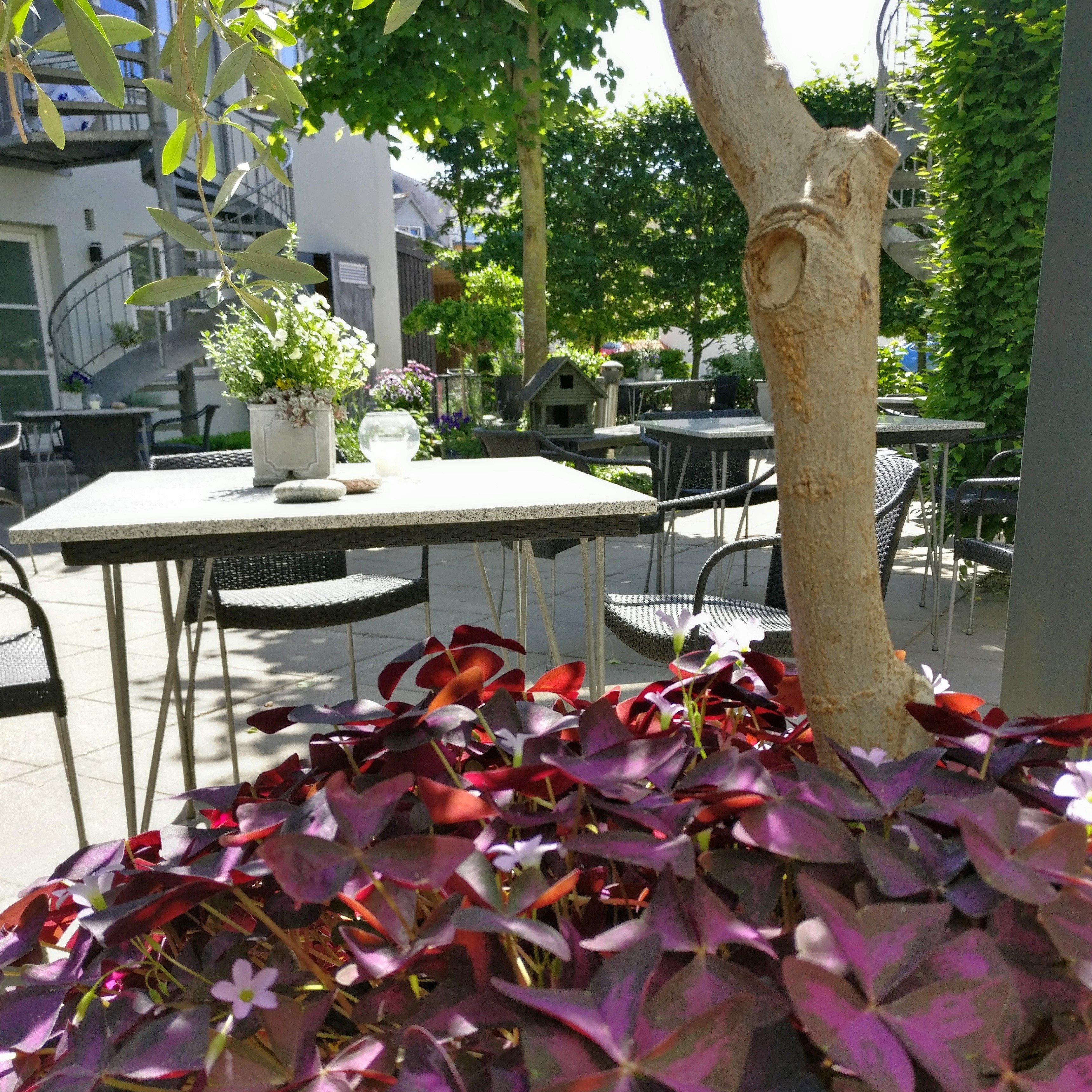 Hotel Thisted-官方