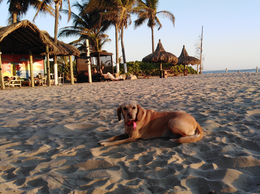 Casa Yalma Kaan主图