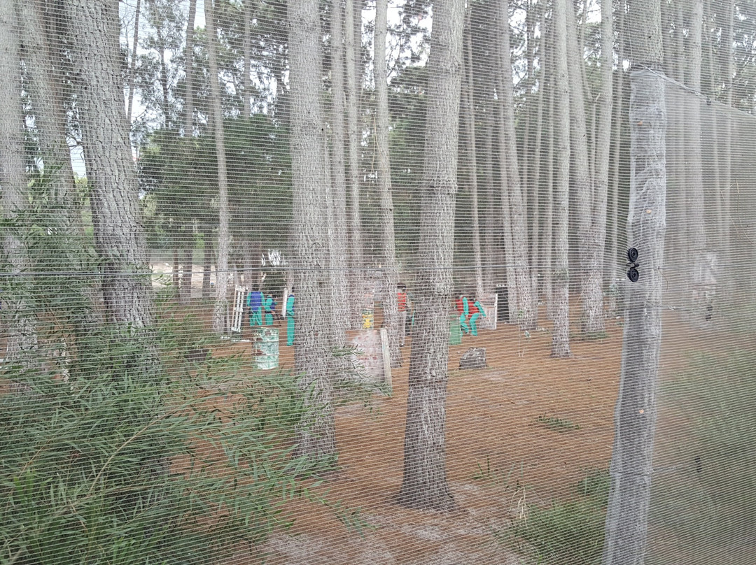 Solanas Punta del Este主图