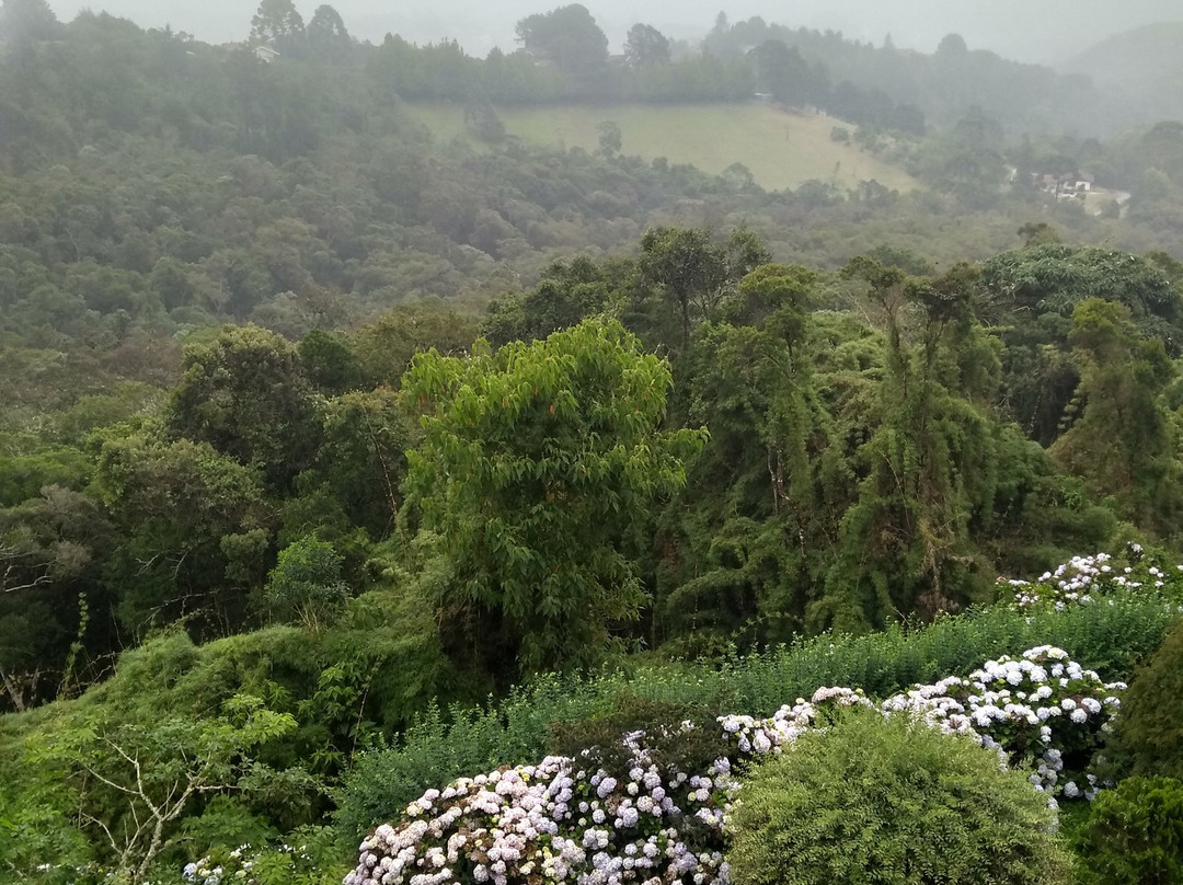 绿色家园酒店主图