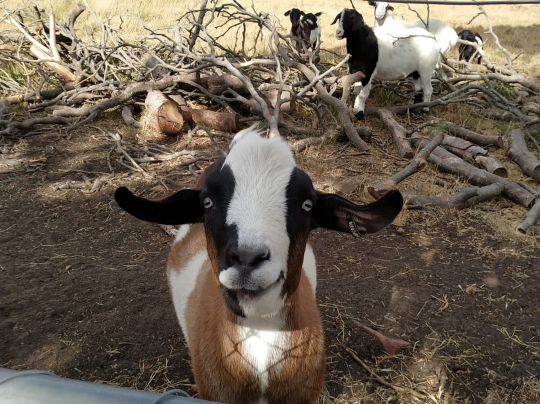 Roslyn House B&B主图