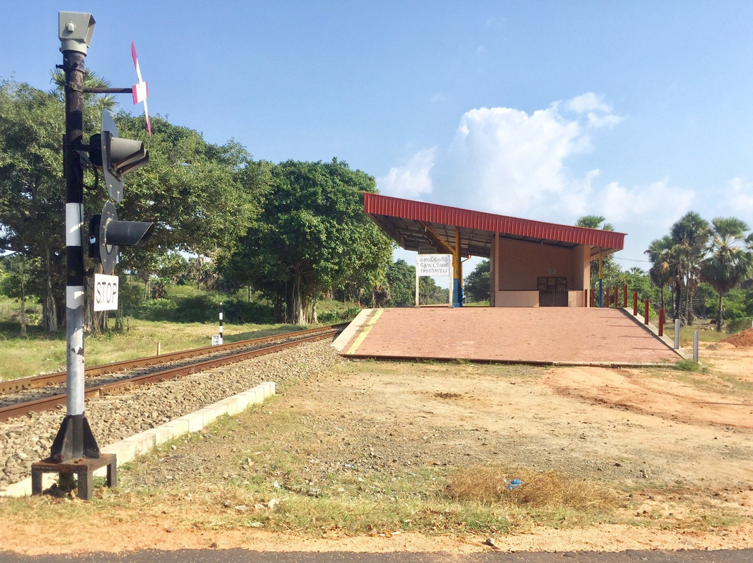 Four Tees Rest Inn主图