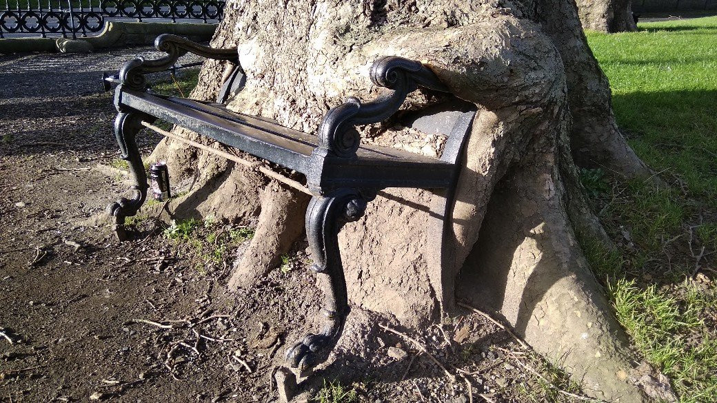 The Hungry Tree-都柏林必去景点