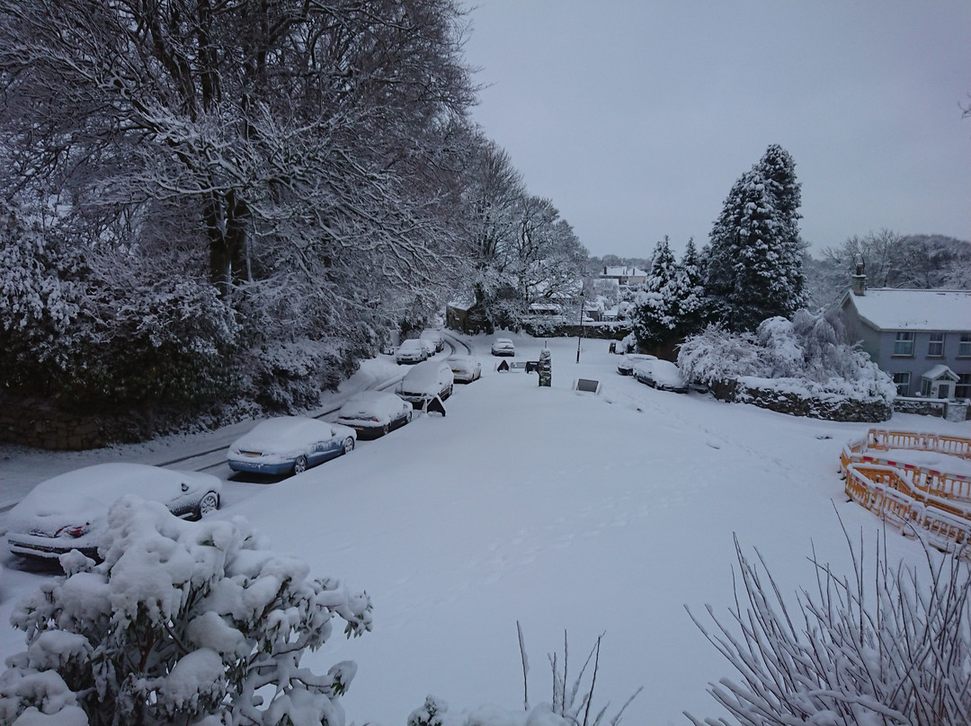 Dartmoor House B&B主图