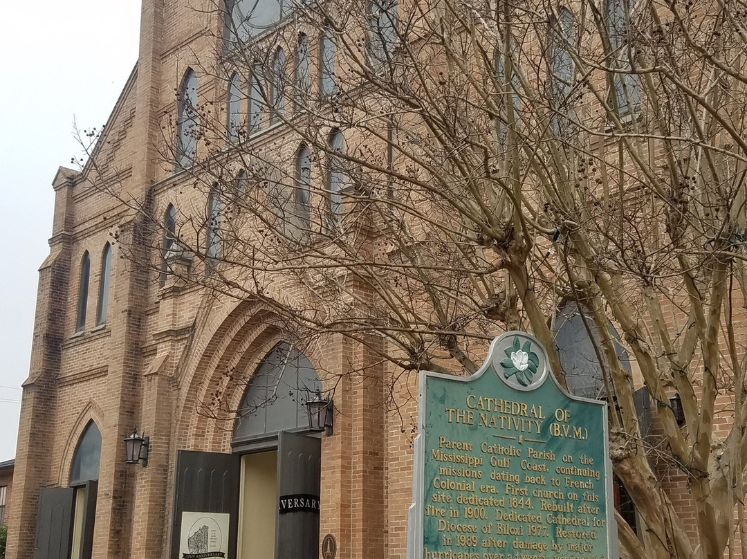 Cathedral of the Nativity of the Blessed Virgin Mary景点图片