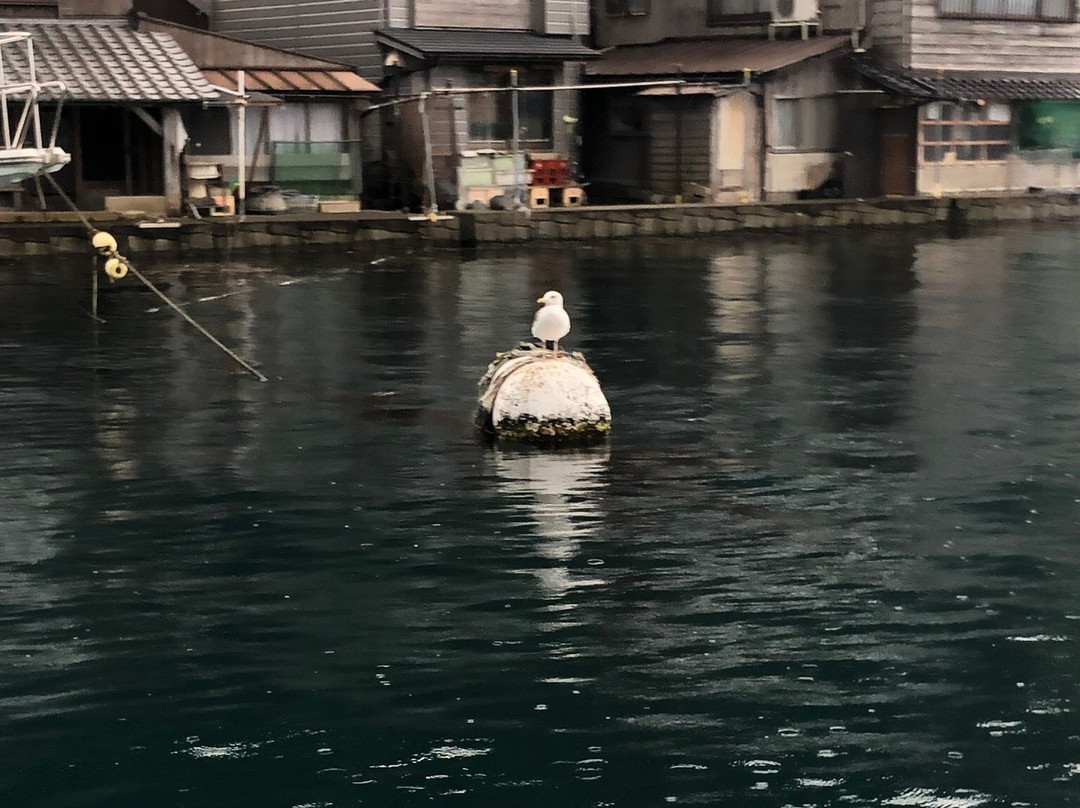 JPS Kyoto Chartered Taxi Reservation Center-京都市必去景点
