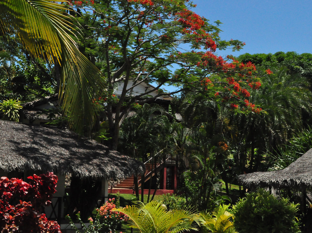 Orangea Village主图