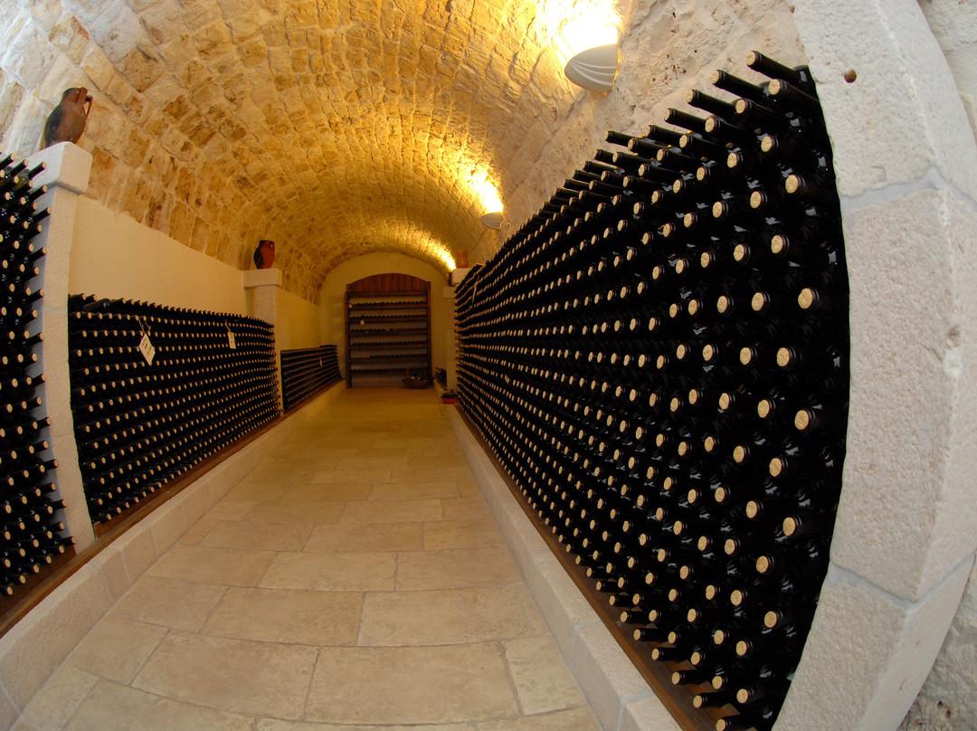 Cantine Semeraro景点图片