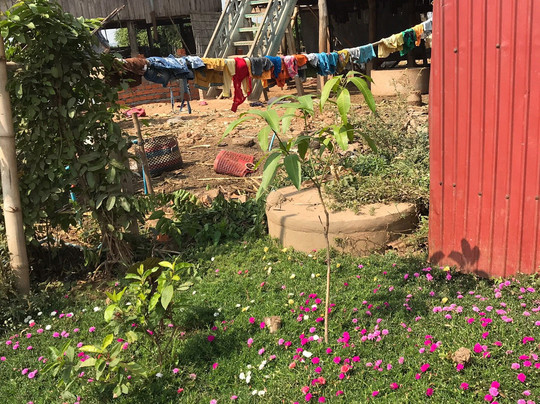 OBT Chiro Village Homestay主图