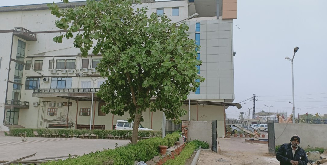 Hotel Megh Mount主图