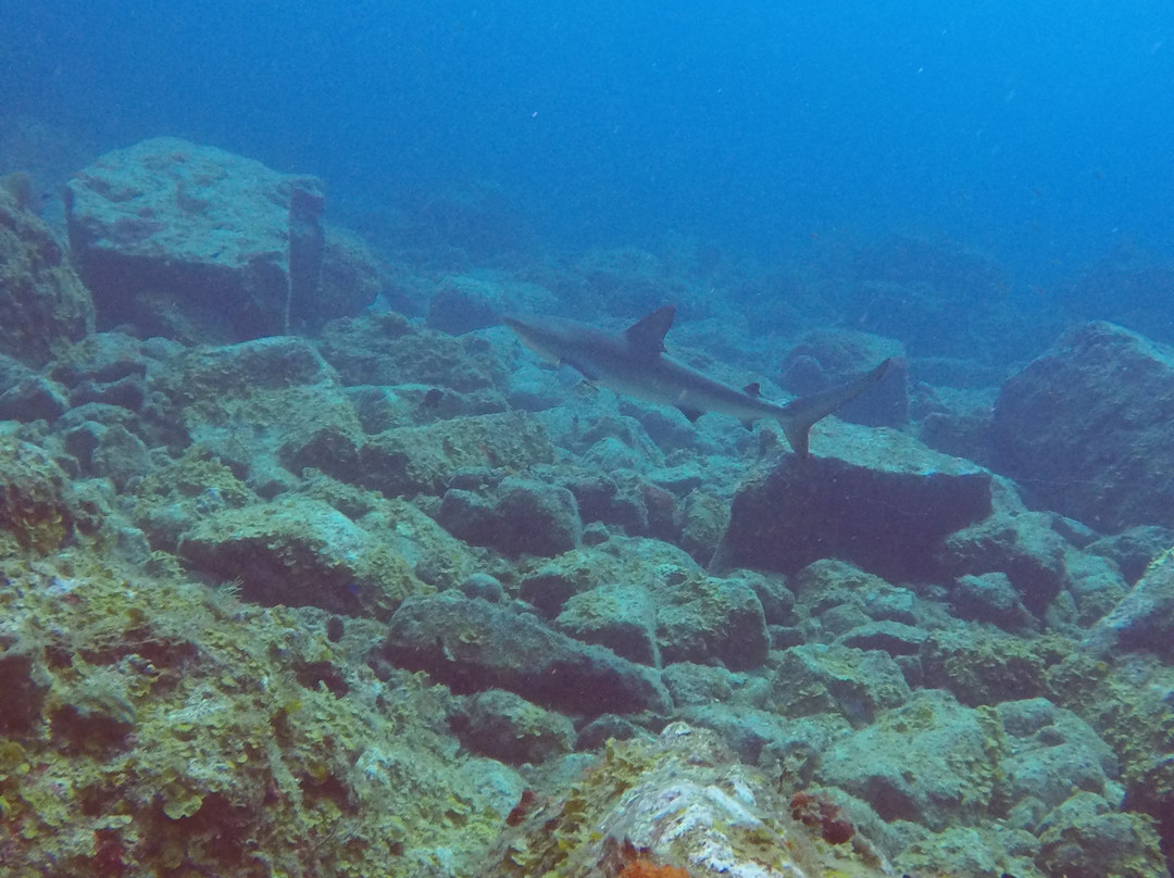 IslanDiving-居斯塔维亚必去景点