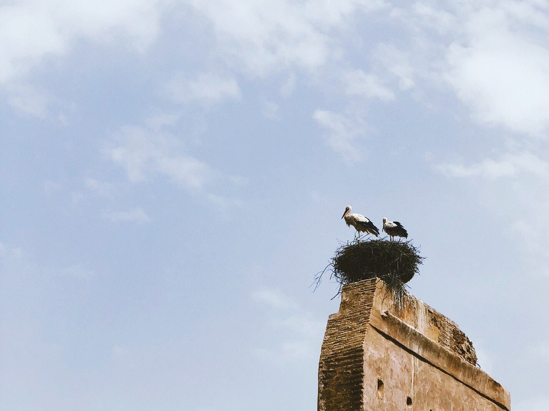 Morocco Guided Travel-非斯必去景点