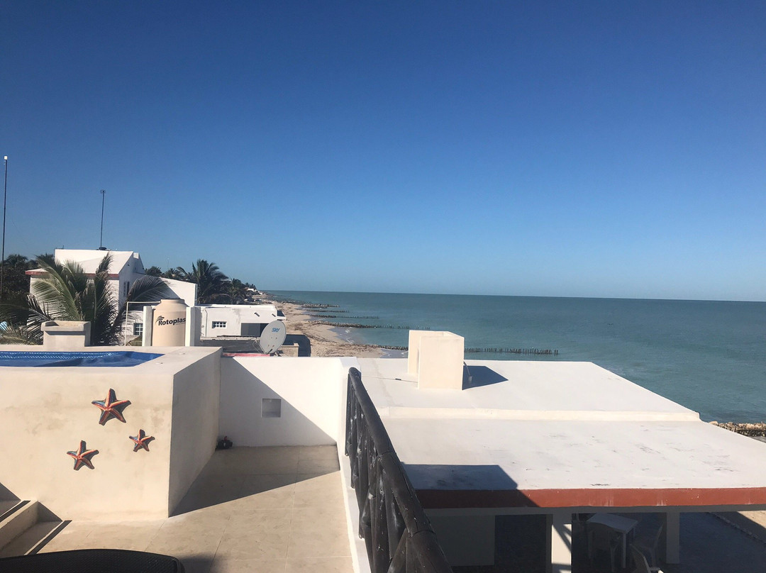 Bears En La Playa主图