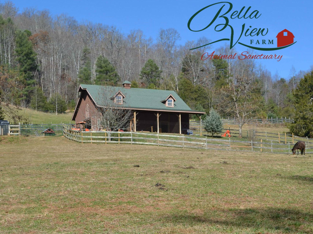 Bella View Farm Animal Sanctuary景点图片