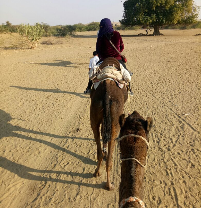 Carpe Diem Desert Safari景点图片